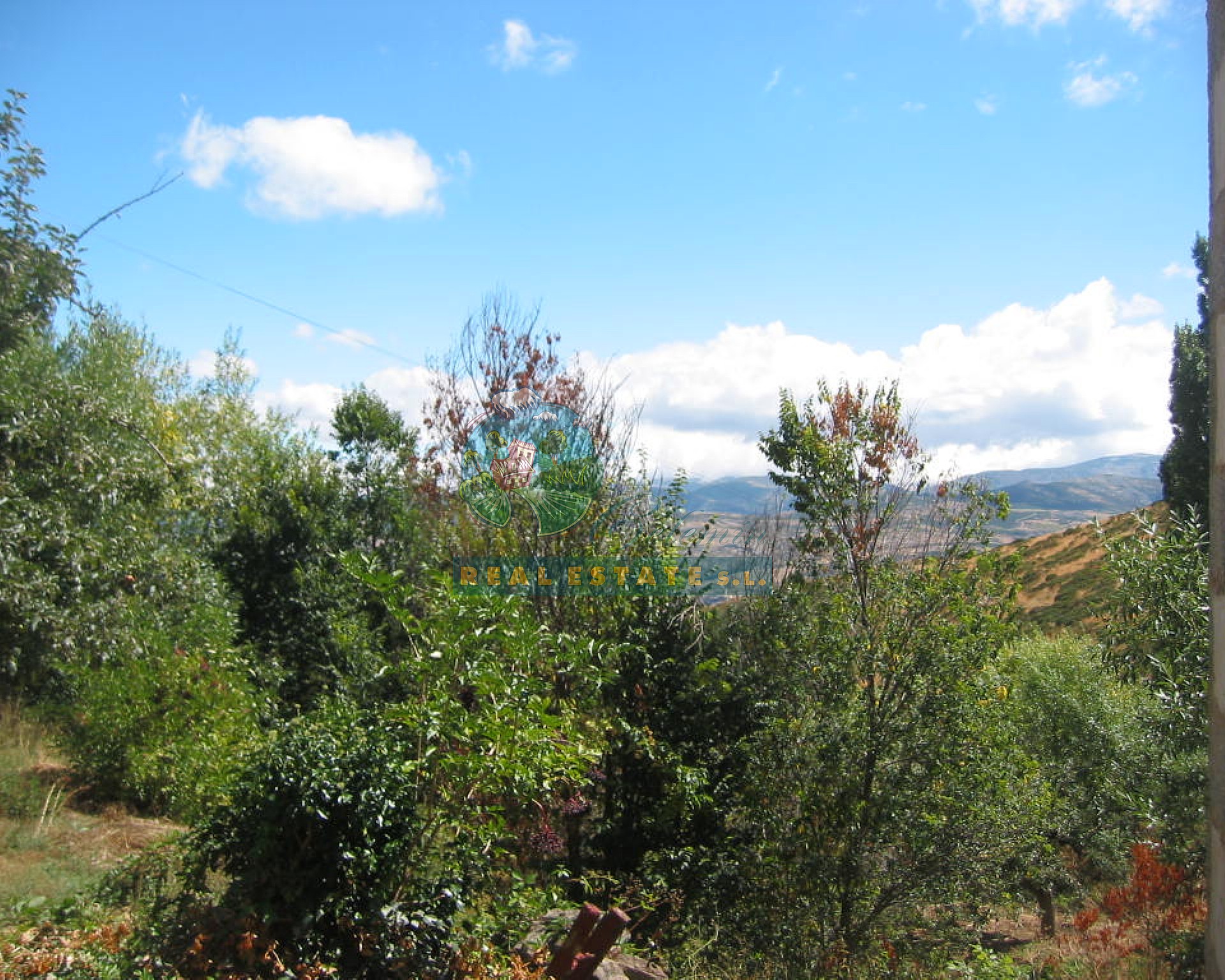 En Sierra de Gredos.