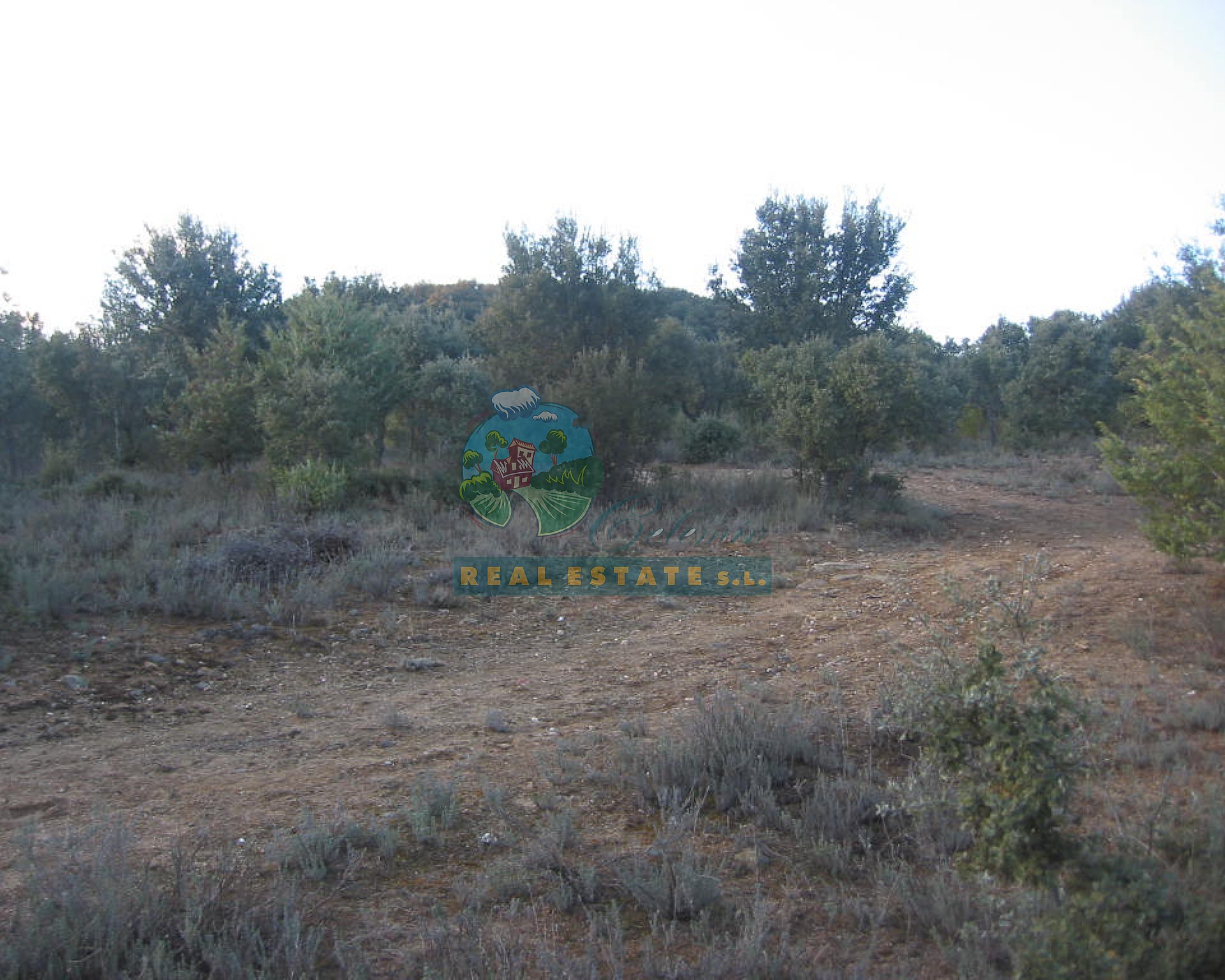 Rural for social/public projects in Sierra de Gredos.