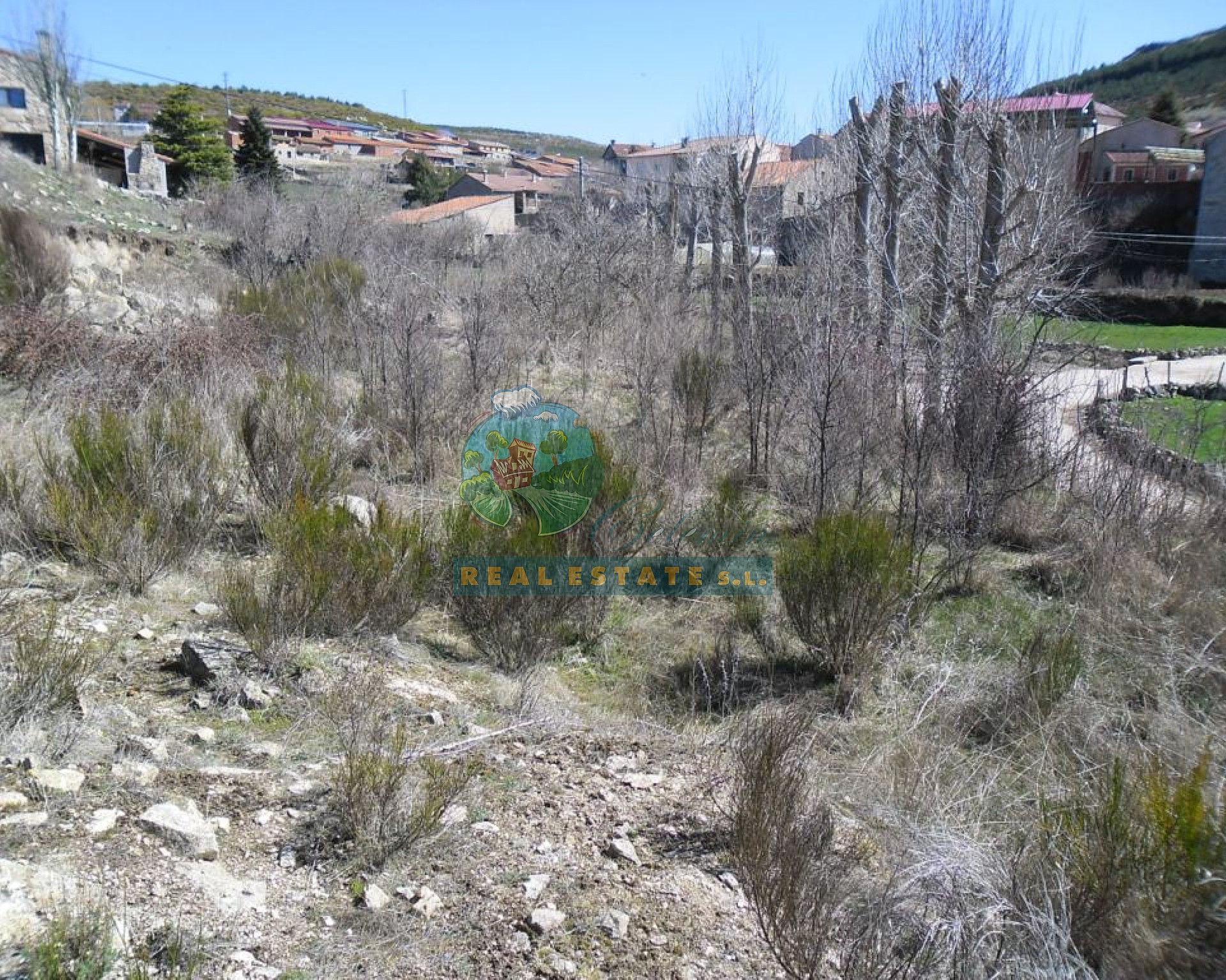 In Sierra de Gredos.