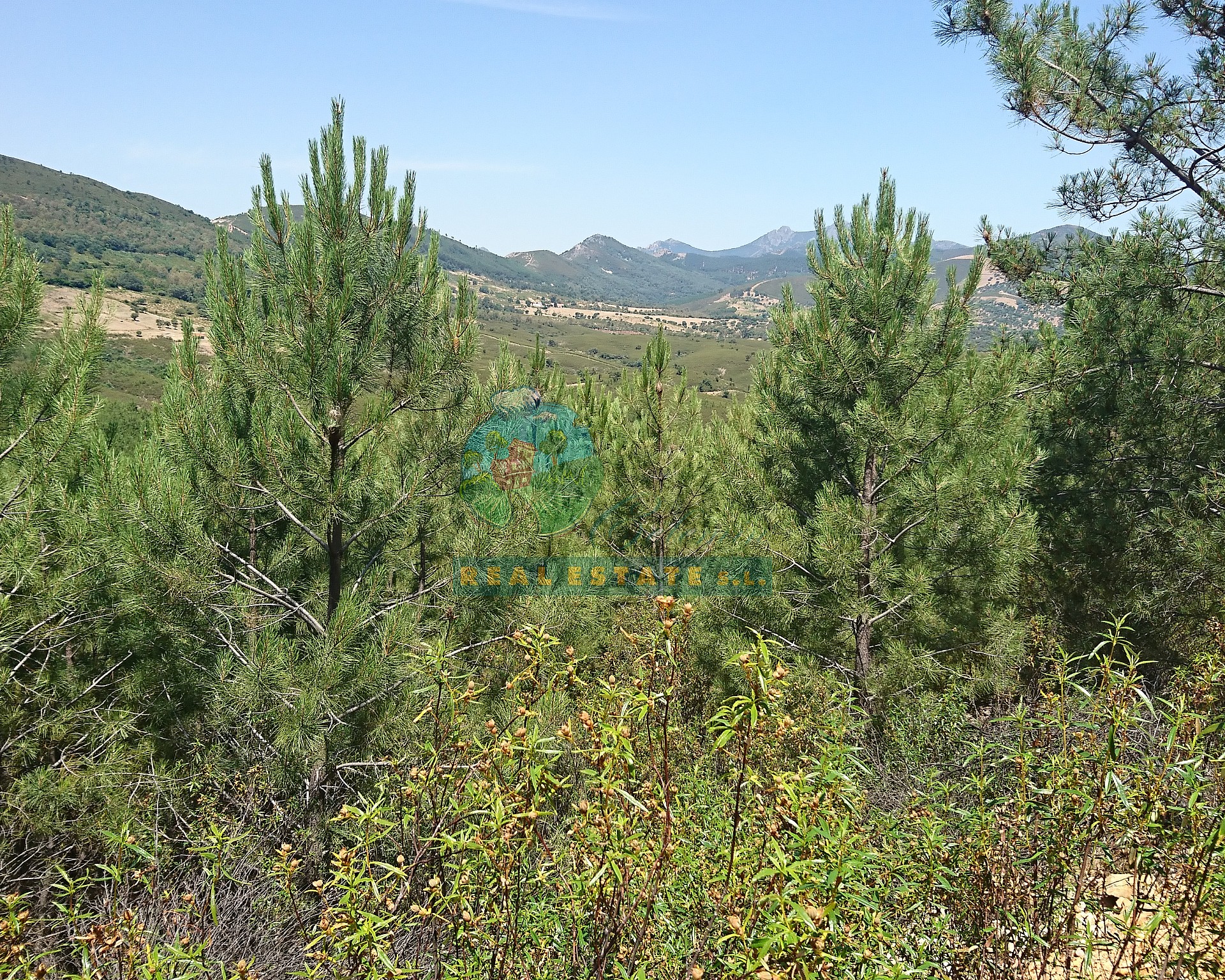 Rural land & cottage in Sierra de Gredos.